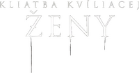 Logo 13