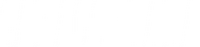 Logo 21