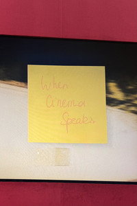 Movie WHEN CINEMA SPEAKS...