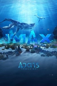 Poster 68