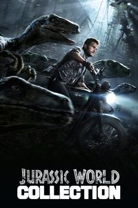 Poster 132