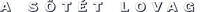 Logo 17