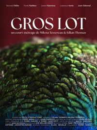 Poster for Gros Lot