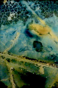 Poster for Water Mining (Eaton Canyon)