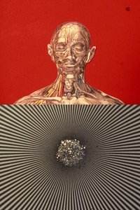 El mensaje es facial