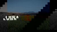 Backdrop 0