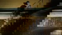 Backdrop 13