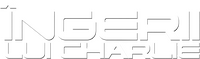 Logo 9