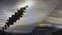 Backdrop 6
