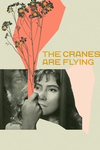 Poster 29