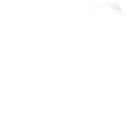 Logo 81