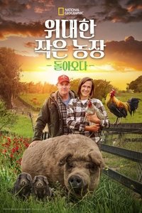 Poster 13