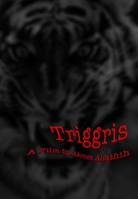 Poster 6
