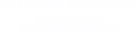 Logo 29
