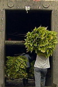 Poster for Tulou, My Home