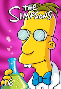 The Simpsons Season 16 poster
