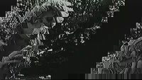 Backdrop 0