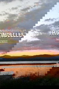 Où sont passées les hirondelles ?