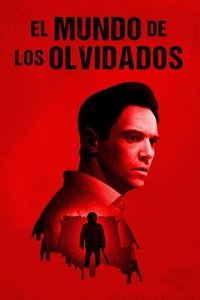 Poster 13