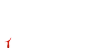 Logo 55