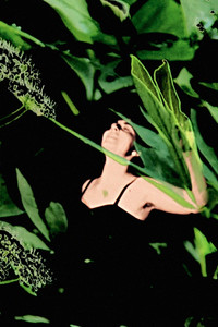 Poster for Birth of the Alseides