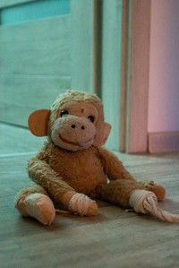 Poster for Martwe wspomnienie