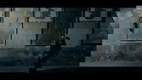 Backdrop 4