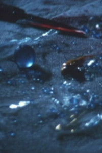 Poster for 震える夜