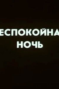 Poster for Ну погоди! Беспокойная ночь