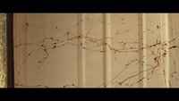 Backdrop 18