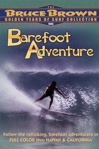 Poster 3
