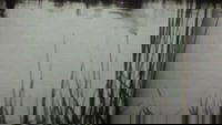 Backdrop 0