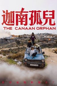 迦南孤儿
