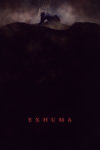 Poster 24