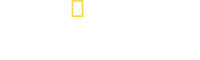 Logo 10