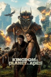Poster 7