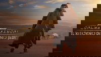 Backdrop 42