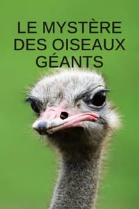 poster Le mystère des oiseaux géants