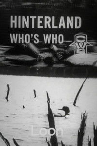 Poster for Hinterland Who's Who: Loon