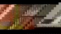 Backdrop 19