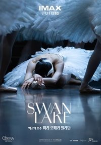 Poster 8
