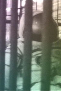 Poster for On The Good Earth