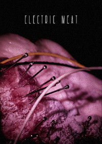 Poster for 插電的肉