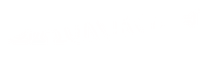 Logo 9