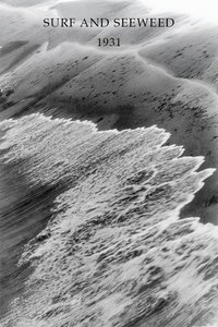 Surf and Seaweed