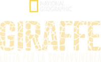 Logo 8