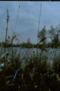 Poster for Landscape as Landscape - 24