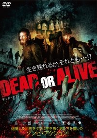 Poster 5