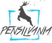 Logo - Pensilvania Films
