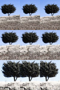 Where is the Final Destination?